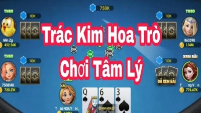 Trác Kim Hoa - Thưởng thức trải nghiệm hấp dẫn từ trò chơi thẻ bài